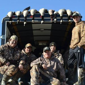 Meet your Posher, Robby